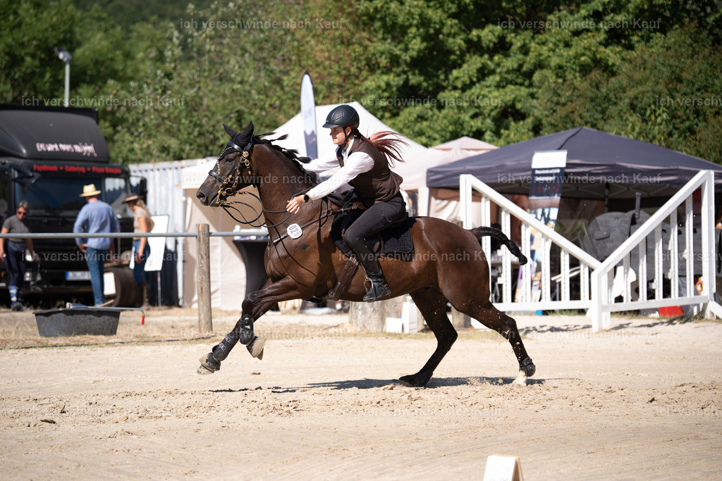 WL_SP_25_Stoibphotography_SO16367 | working equitationturnier fotograf videograf stoibphotography marixx film working equitation deutschland reitsport turnierfotografie eventfotografie equestrian events