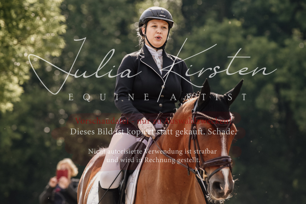 DSC_9061 | Pferde- und Turnierfotografie in Westsachsen. Pferdeportraits, Auftragszeichnungen und intuitive Kunst.