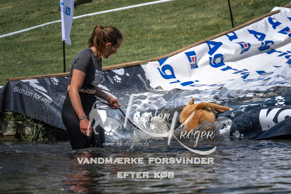 1102_ZZ90392 | kk-dogfotos