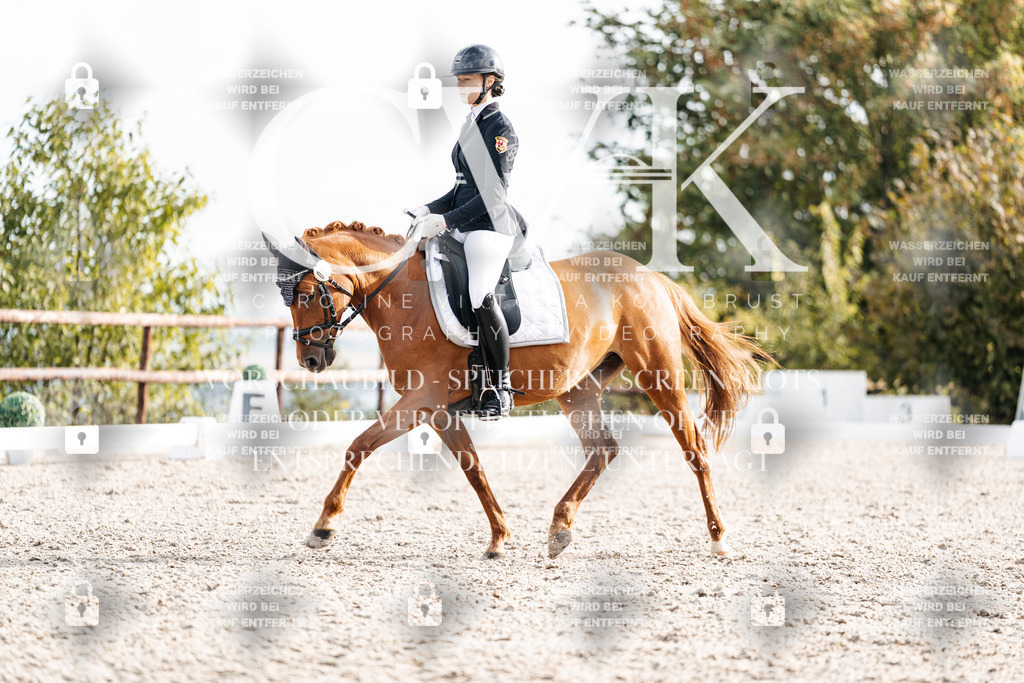 CK901092 | Turnierfotografie Pferdefotografie Trier Rheinland-Pfalz Pferdesport Reitsport Tierfotografie Sportfotografie Pferdevideo Pferdevideografie Equestrianvideography equestrianphotography  - Realisiert mit Pictrs.com
