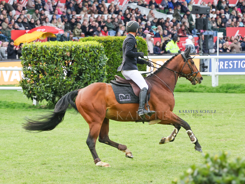 1B3A5174 | Reitsport Reiten