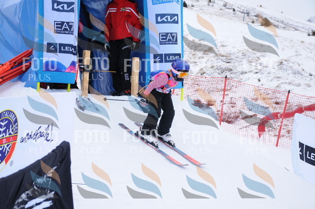 DSC_7659 | holidayphoto