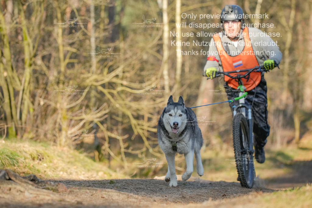 Sa_Scooter-174 | stephaniefillaphotographie - Realisiert mit Pictrs.com