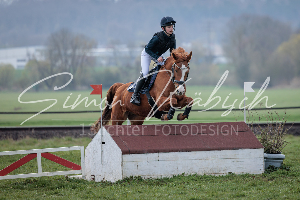 20260329-_3LI4551 | Tierfotografie Pferde, Hunde, Katzen, Haustiere.
Turnierfotografie Reitturniere, Reiten, Springreiten, Dressur in Hanau, dem Main-Kinzig-Kreis und dem Rhein-Main- Gebiet um Frankfurt