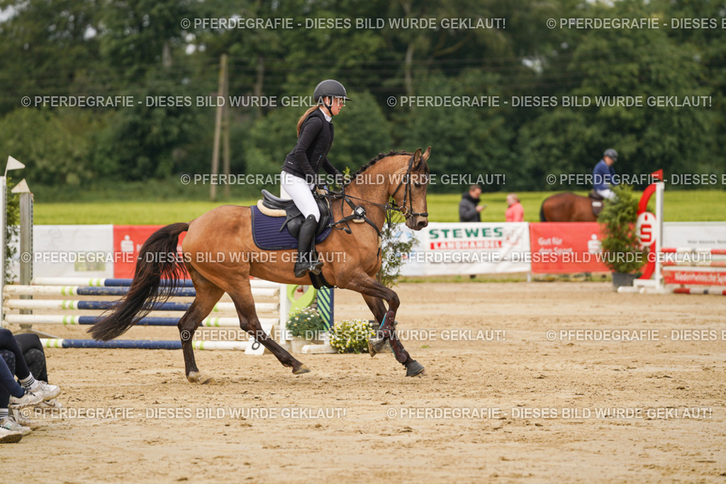 DSC00741 | Pferdegrafie