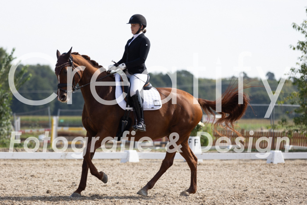 IMG_3401 | Creatify Fotografie