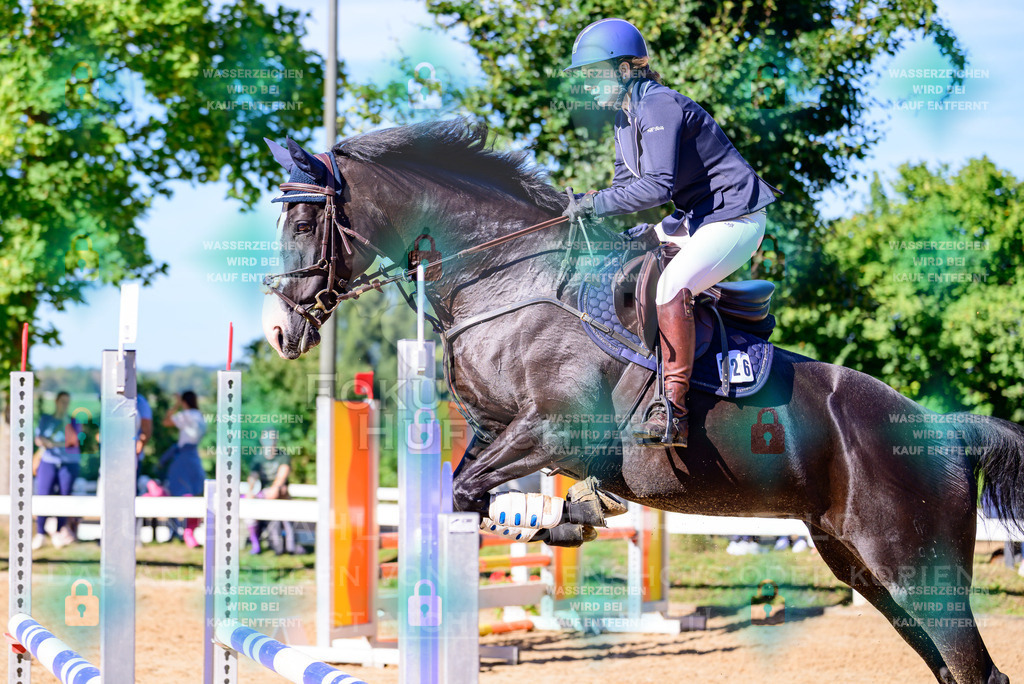 30082026-Giesenbach-Prfg16-0364 | Fokus Hufschlag Fotografie - Realisiert mit Pictrs.com