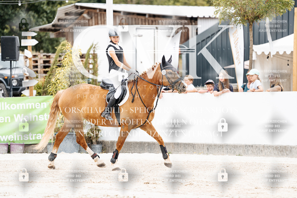 CK907810 | Turnierfotografie Pferdefotografie Trier Rheinland-Pfalz Pferdesport Reitsport Tierfotografie Sportfotografie Pferdevideo Pferdevideografie Equestrianvideography equestrianphotography  - Realisiert mit Pictrs.com