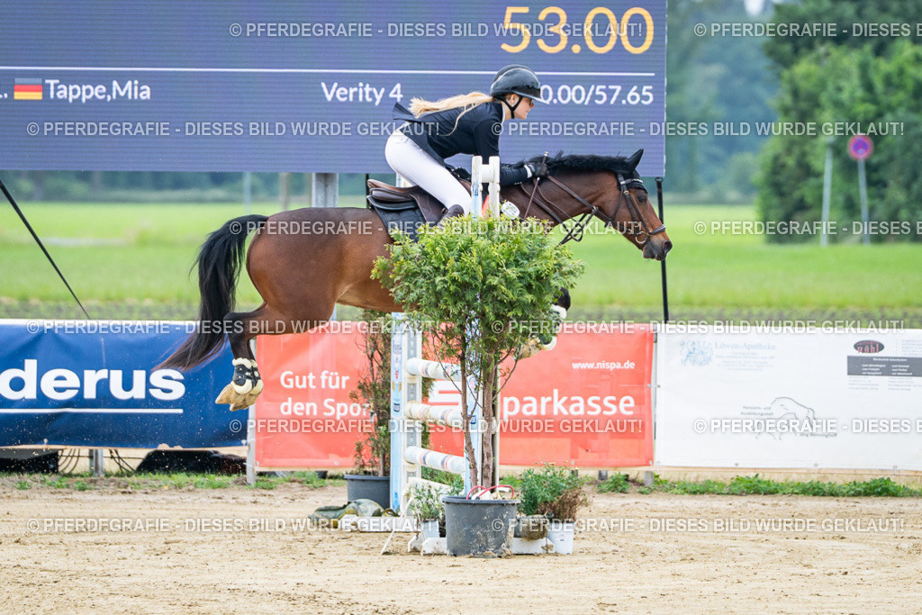 DSC03250 | Pferdegrafie