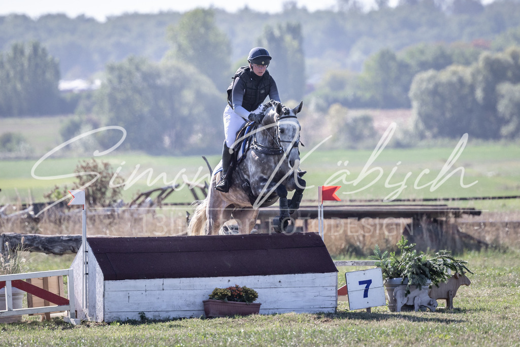 20260906-_3LI2111 | Tierfotografie Pferde, Hunde, Katzen, Haustiere.
Turnierfotografie Reitturniere, Reiten, Springreiten, Dressur in Hanau, dem Main-Kinzig-Kreis und dem Rhein-Main- Gebiet um Frankfurt