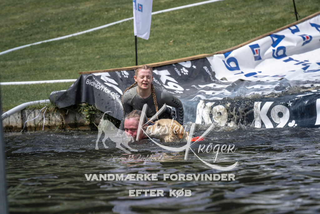 1155_ZZ94366 | kk-dogfotos