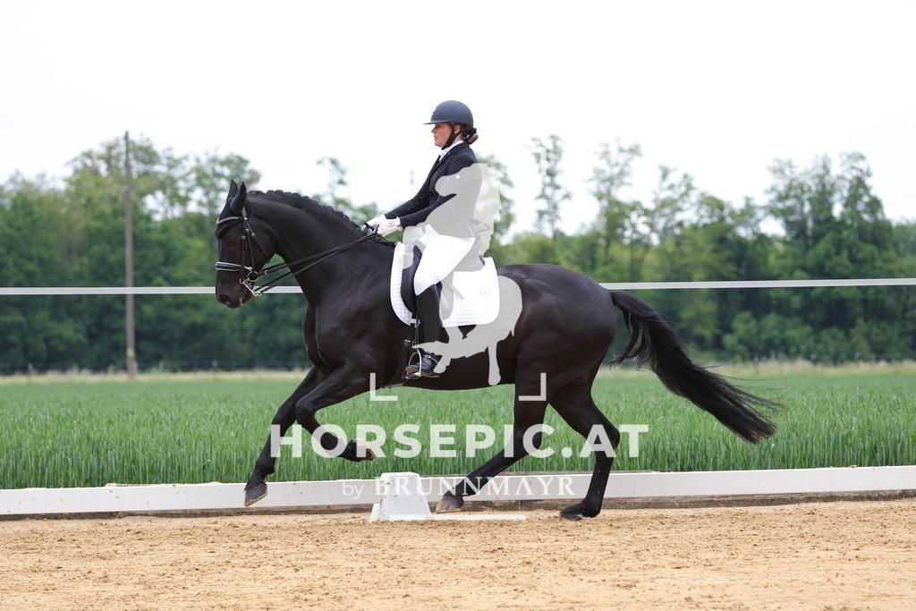 0P6A4497 | Willkommen bei Brunnmayr - Design & Fotografie – Ihrem Spezialisten für Reitturniere und Pferdeveranstaltungen in Oberösterreich, Salzburg und Bayern! Seit über 17 Jahren sind wir leidenschaftlich dabei.