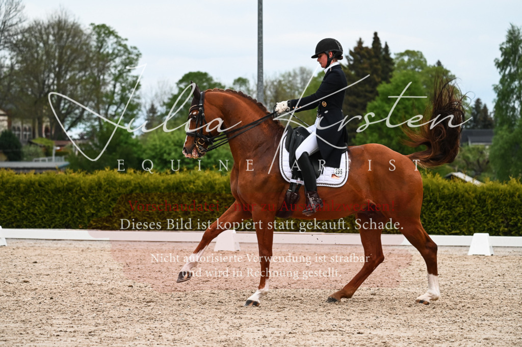 20230513_JK-Röhrsdorf-13-702 | Pferde- und Turnierfotografie in Westsachsen. Pferdeportraits, Auftragszeichnungen und intuitive Kunst.