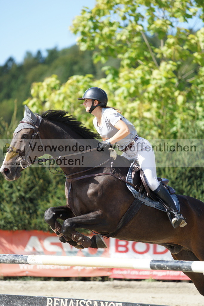 DSC01558 | equestrian-live-com