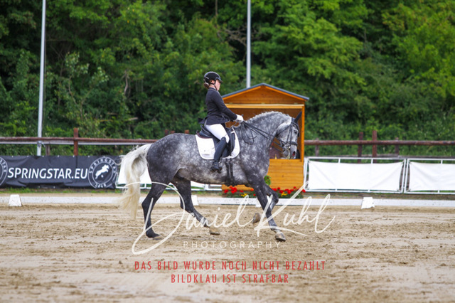 DKP47310 | Turniersportfotografie; Pferdefotografie; Dressurfotografie