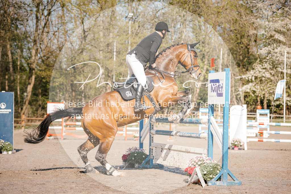3I6A3688 | Stimmungsvolle Portraits und Reitsportfotografie im Ruhrgebiet und im Münsterland.

Pferdefotografie, Hundefotografie, Tierfotografie, Reportagen, Portraits von Tier und Mensch, Turnierfotografie in Bochum, Recklinghausen, Marl, Haltern am See, Dülmen.. - Realisiert mit Pictrs.com