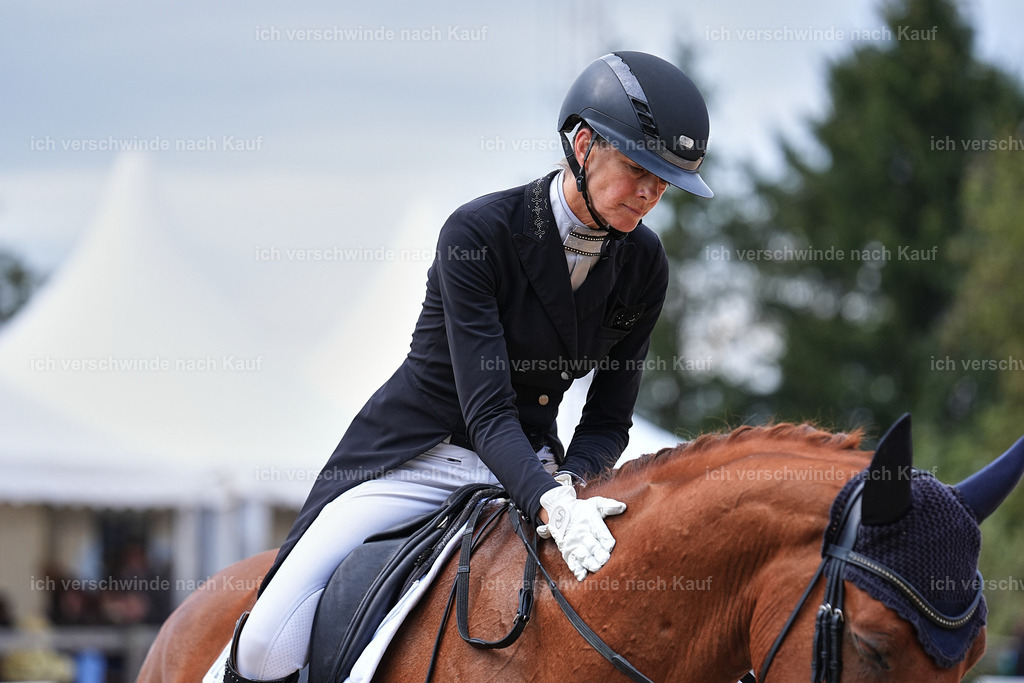 12-220-DRESSUR  S___  -Marixx-5223 | working equitationturnier fotograf videograf stoibphotography marixx film working equitation deutschland reitsport turnierfotografie eventfotografie equestrian events