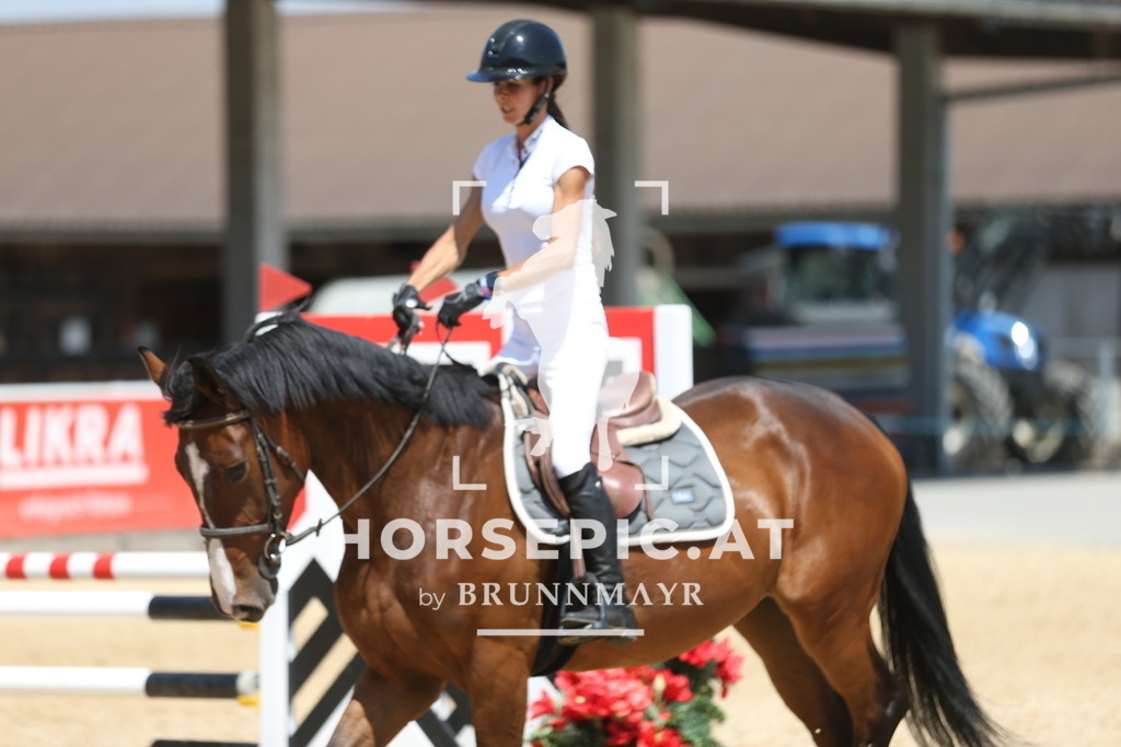 PP014596 | Willkommen bei Brunnmayr - Design & Fotografie – Ihrem Spezialisten für Reitturniere und Pferdeveranstaltungen in Oberösterreich, Salzburg und Bayern! Seit über 17 Jahren sind wir leidenschaftlich dabei.