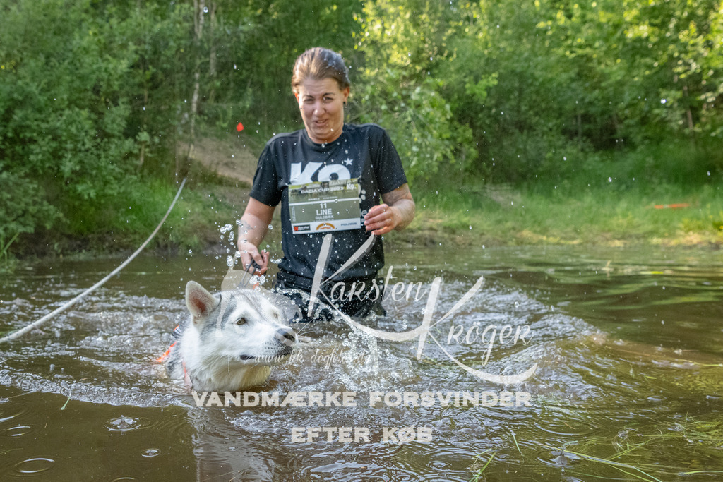 1739DKK992308 | kk-dogfotos