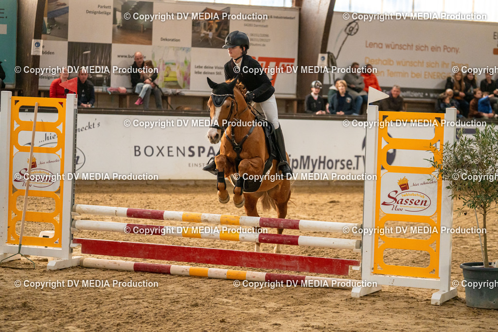 Kranichstein Tag 2-1099 | dv-media-shop - Realisiert mit Pictrs.com