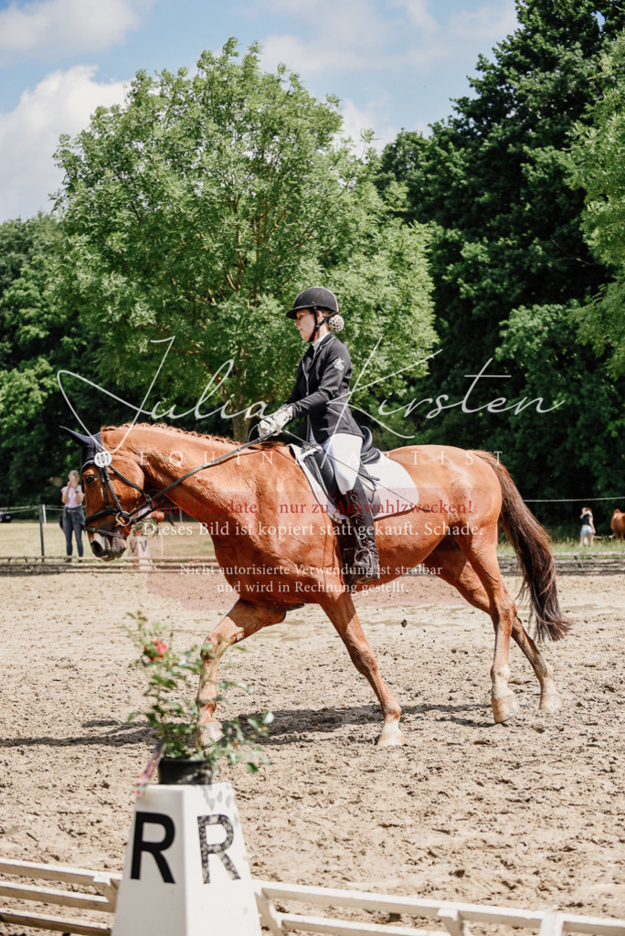 DSC_1534 | Pferde- und Turnierfotografie in Westsachsen. Pferdeportraits, Auftragszeichnungen und intuitive Kunst.