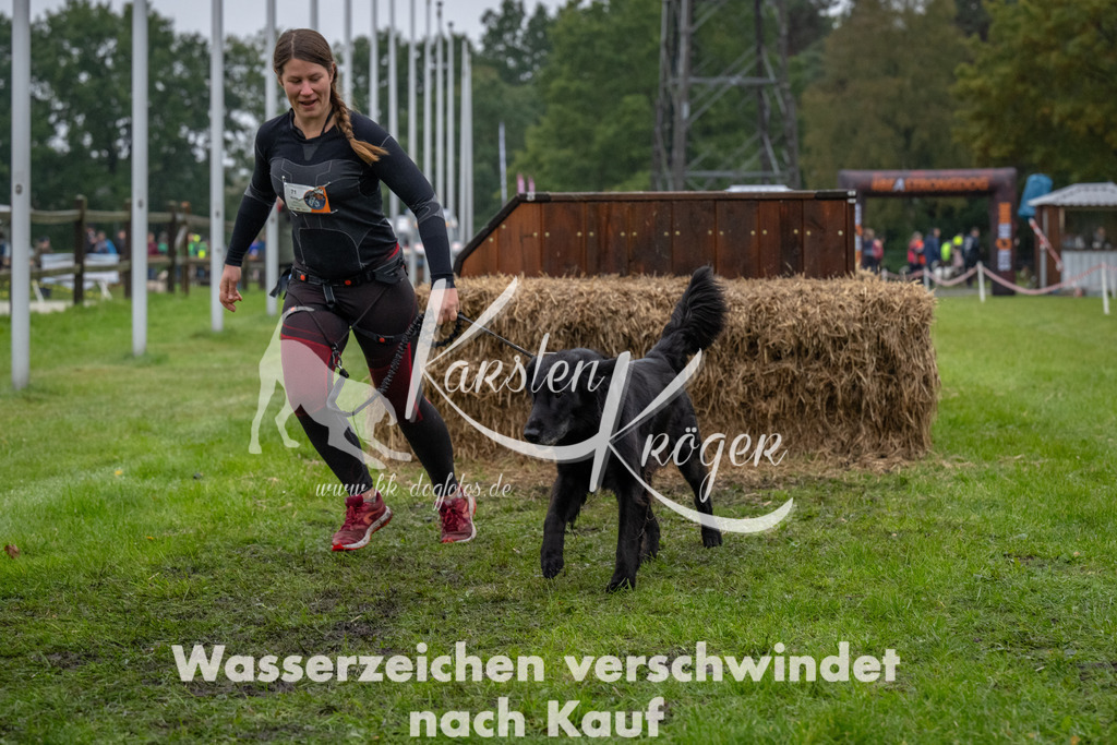 1119-94378 | kk-dogfotos