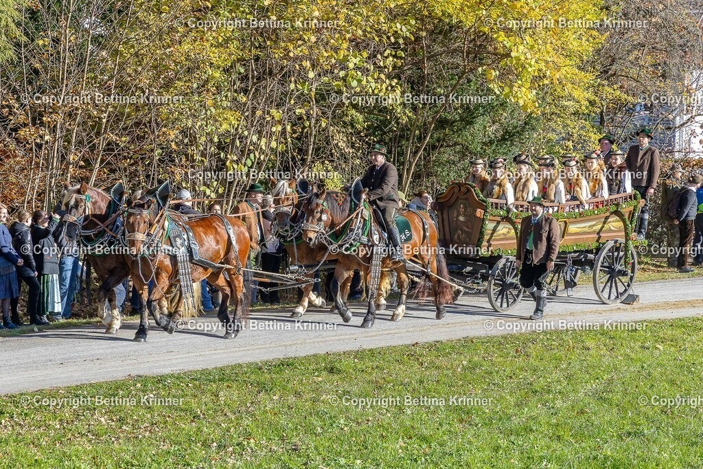 LBT25-545 | foto-bettina-krinner - Realisiert mit Pictrs.com