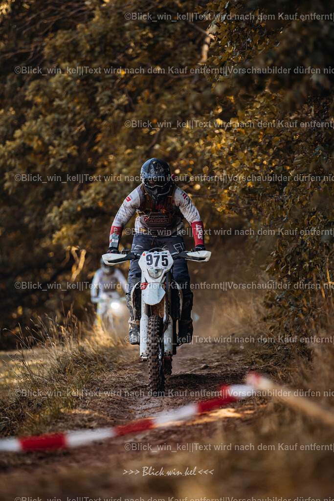 E68A6431 | blick_win_kel