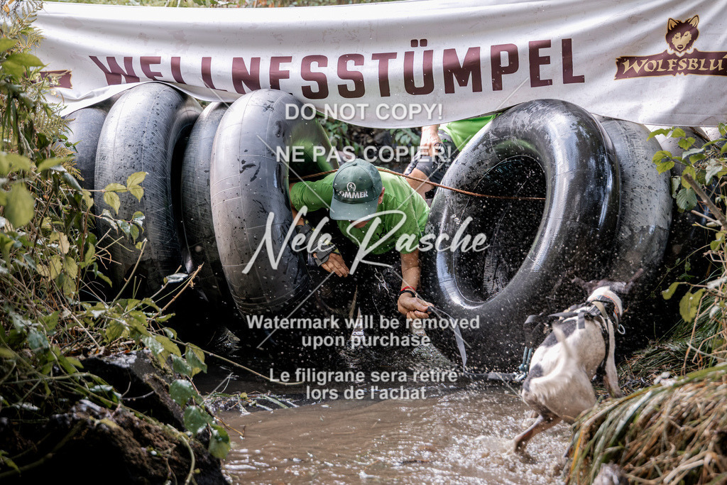 nelerasche_Hunsrück2026_Sa1400-1500_83 | nelerasche