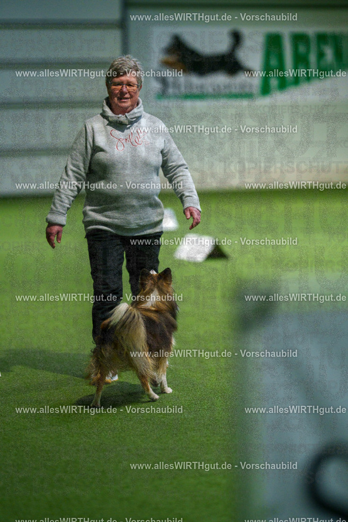 7R504878 | Professionelle Tierfotografie in Mönchengladbach von Daniel Wirth (allesWIRTHgut). Liebevolle & natürliche Bilder von Hunden & Katzen für unvergessliche Erinnerungen.