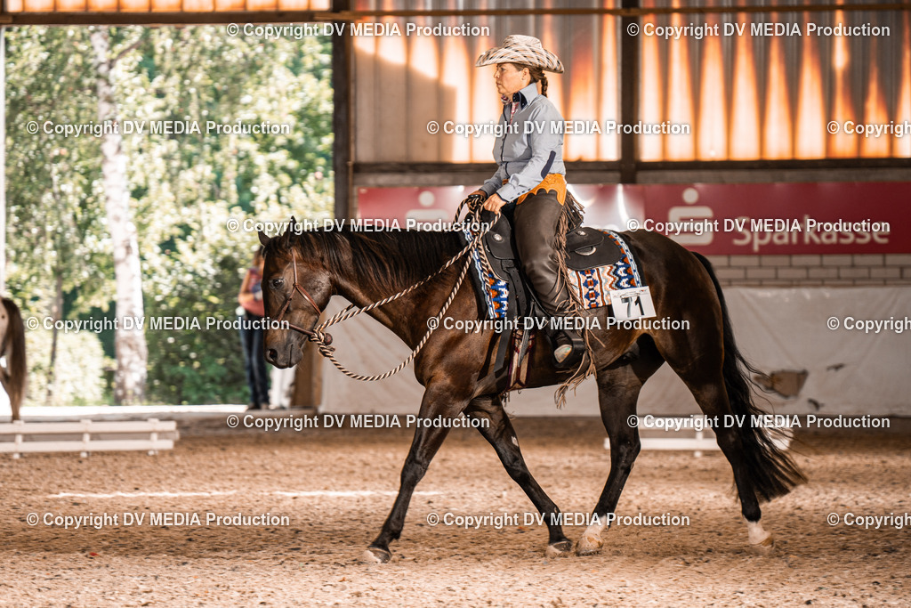 ZH100023 | dv-media-shop - Realisiert mit Pictrs.com