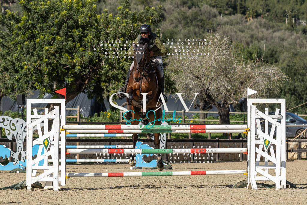 IMG_6916 | s-jay-photography - Realisiert mit Pictrs.com