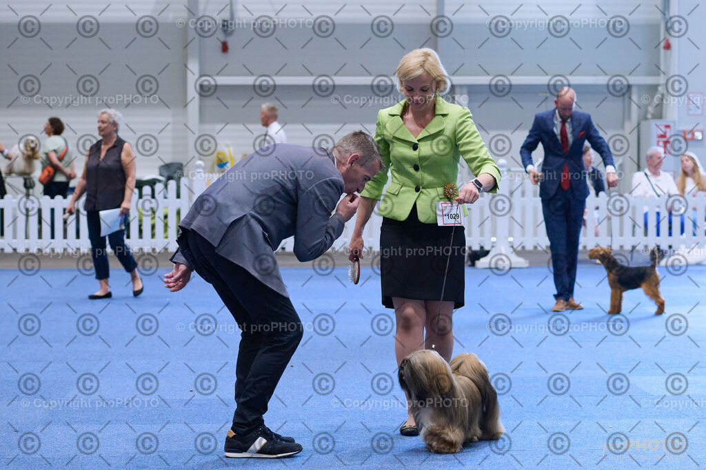 202406_ÖKV-IHA-Tulln24_DSC_4391 | proPHOTO - Realisiert mit Pictrs.com