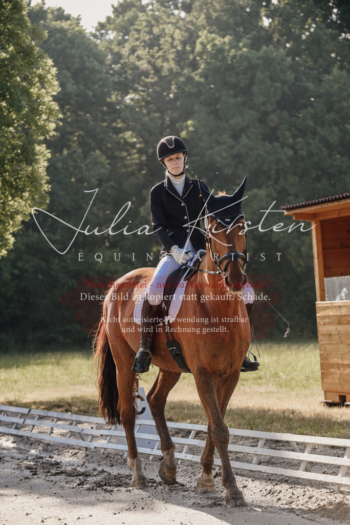 DSC_7676 | Pferde- und Turnierfotografie in Westsachsen. Pferdeportraits, Auftragszeichnungen und intuitive Kunst.