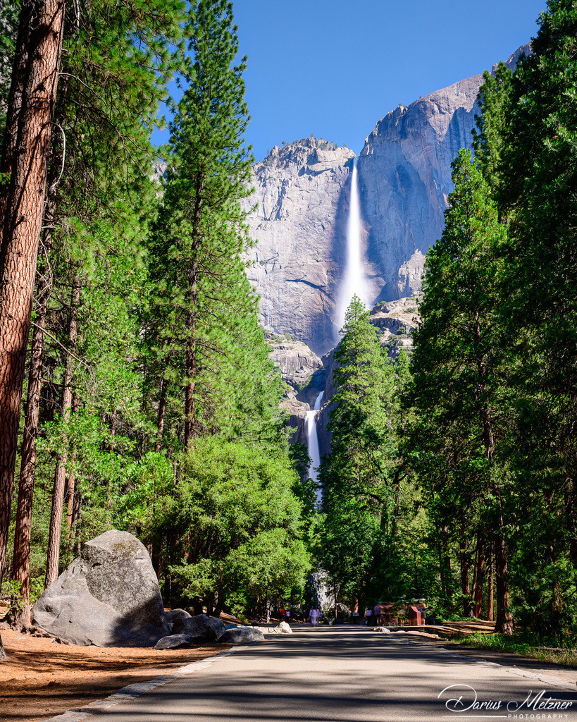 Yosemite National Park | Yosemite National Park
