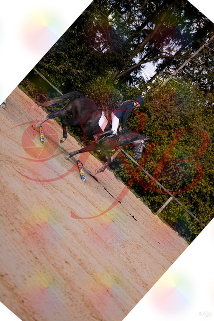 2026_10_03_Siefer-Hof_144830_Z81_25884665 | Professionelle Reitsport-, Turnier- und Eventfotografie von Robert Broda. Galerien mit ausgewählten und bearbeiteten Bildern direkt online ansehen und bestellen.