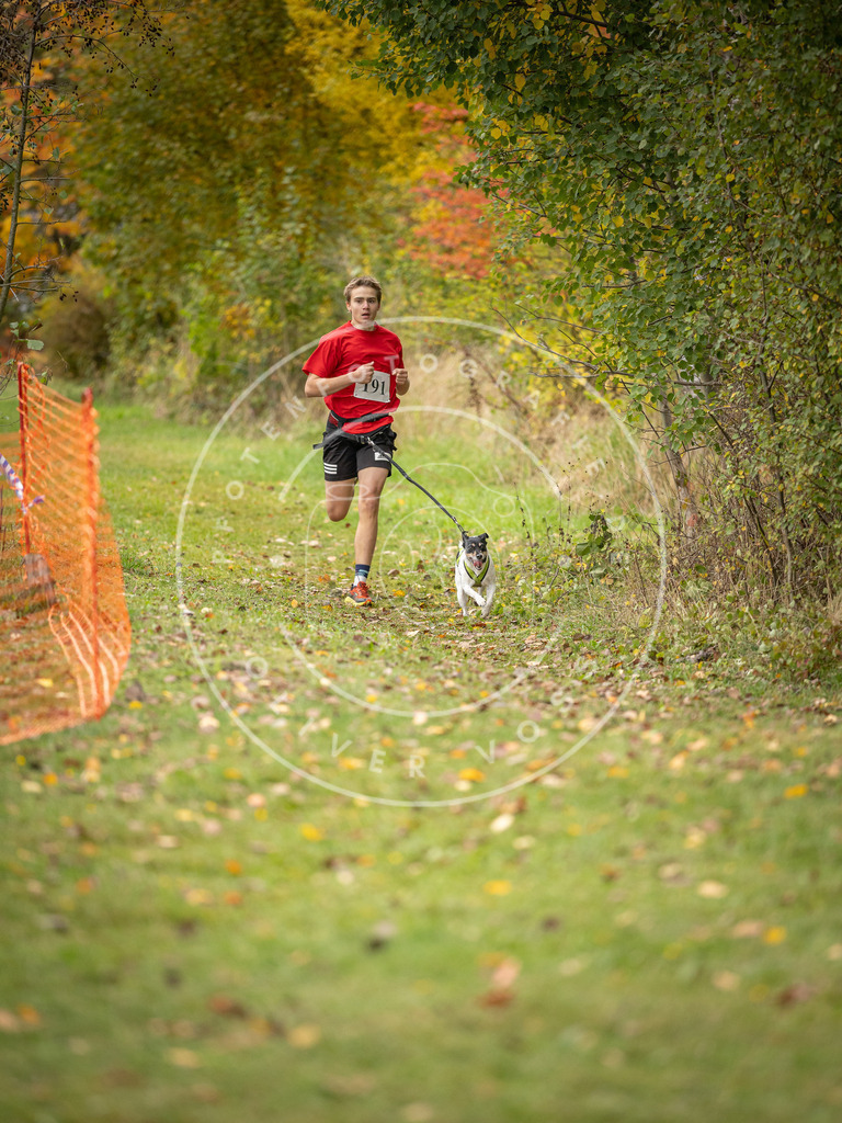 Pfotenfotografie_DV3A3558 | Hundefotografie, Tierfotograf, Pfotenfotografie, Fotoshooting Hund, Hunde Portrait, Hundesport, Hundeportraits, Heideshooting, Hunde, Sportfotograf, Hundefotograf, Turnierhundsport, THS,  - Realisiert mit Pictrs.com