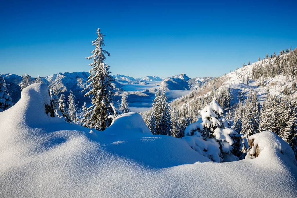 Winterberge | ap-design // andreas plenk - Realisiert mit Pictrs.com