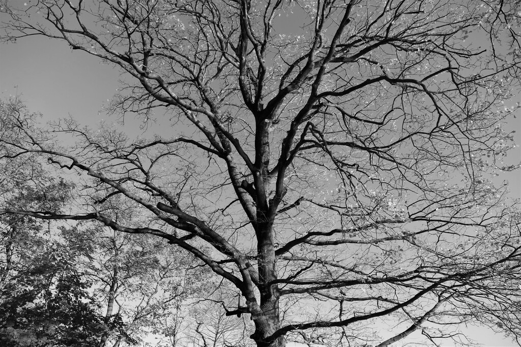 P2710100_b | Annaeherungen - Realisiert mit Pictrs.com