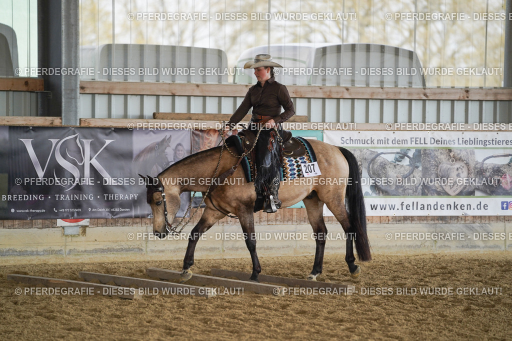 DSC00115 | Pferdegrafie