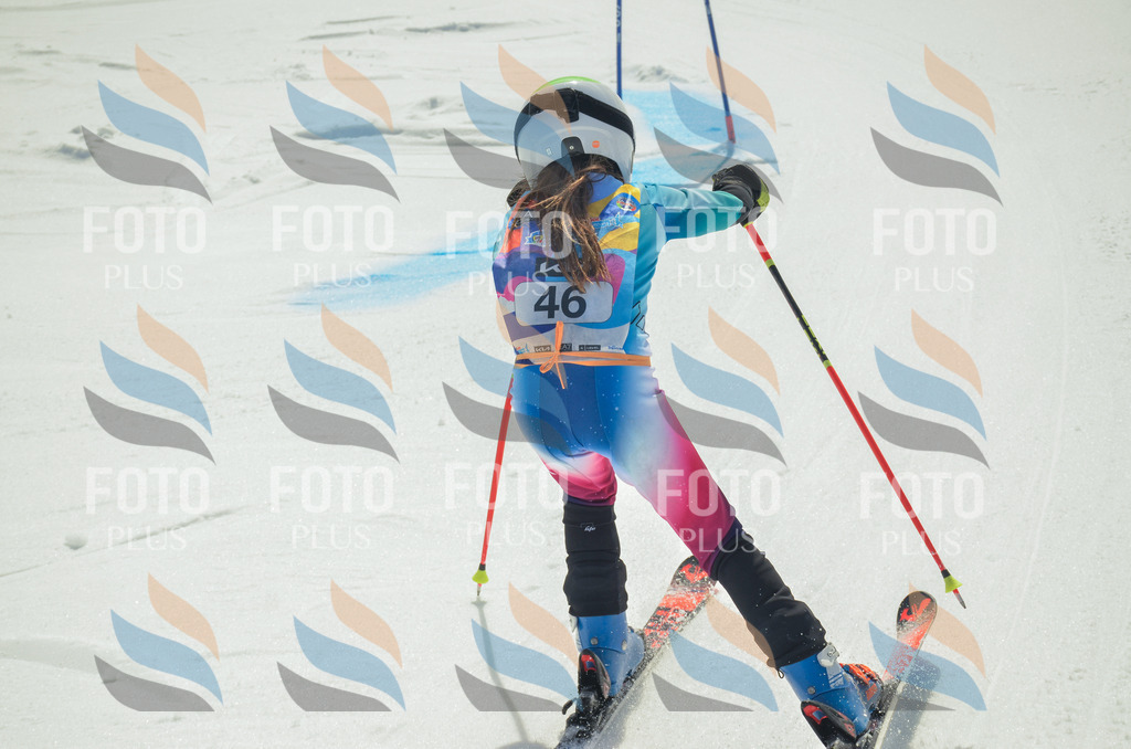 _ELE5134 | holidayphoto