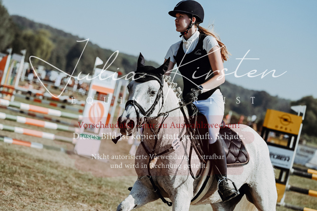 DSC_9444 | Pferde- und Turnierfotografie in Westsachsen. Pferdeportraits, Auftragszeichnungen und intuitive Kunst.