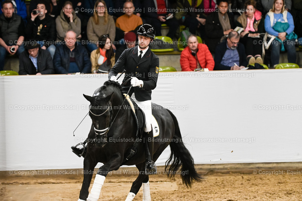 20260307_Hengstvorstellung-Marbach_0246 | equistock