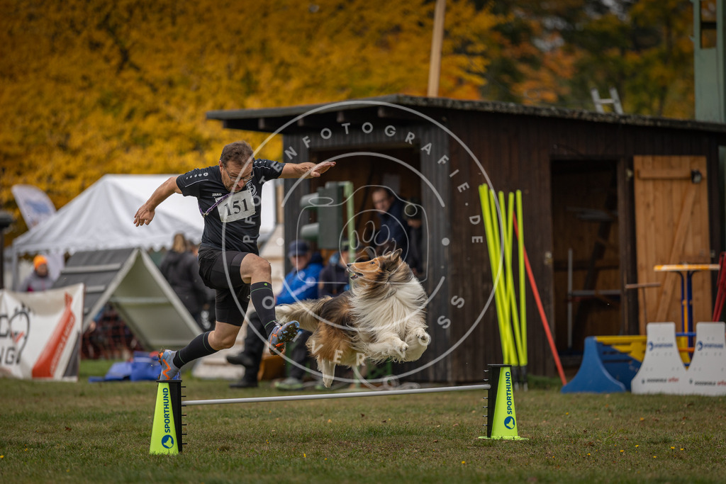Pfotenfotografie_DV3A6120 | Hundefotografie, Tierfotograf, Pfotenfotografie, Fotoshooting Hund, Hunde Portrait, Hundesport, Hundeportraits, Heideshooting, Hunde, Sportfotograf, Hundefotograf, Turnierhundsport, THS,  - Realisiert mit Pictrs.com