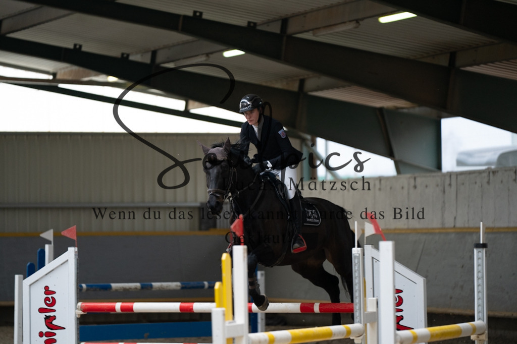 A7V08580 | Pferdefotograf