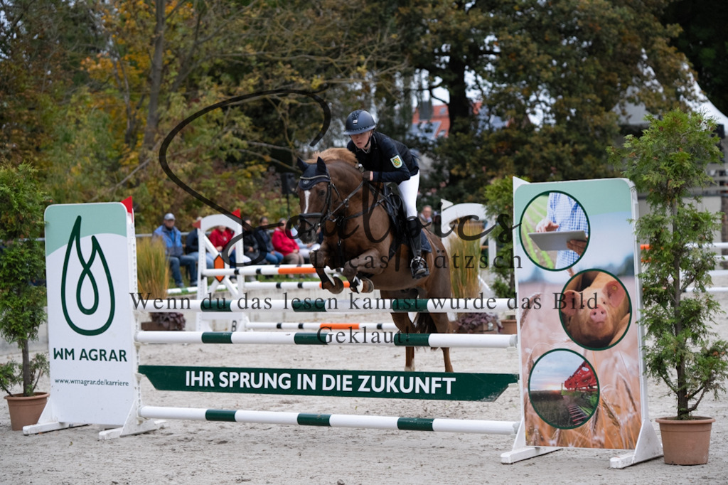 A7V08676 | Turnier/Reitfotograf