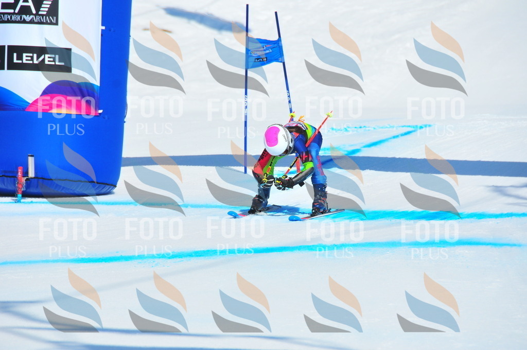 DSC_4796 | holidayphoto