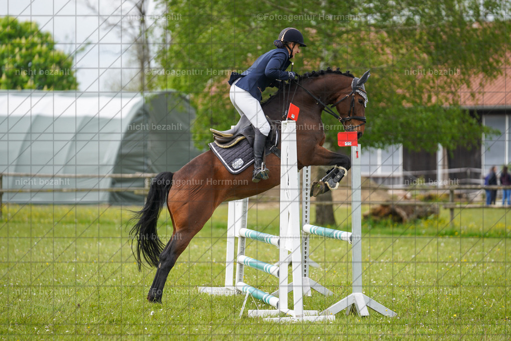 20230520-FAH05021 | Frühjahrsturnier, Landsberg am Lech, 2023, Reitclub Landsberg, Turnierbilder, Fotos Turnier Landsberg, Fotoagentur Herrmann, Turnierfotografen Bayern, Reitsport Fotograf, Pferde Fotograf