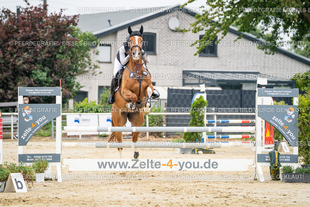 DSC09602 | Pferdegrafie