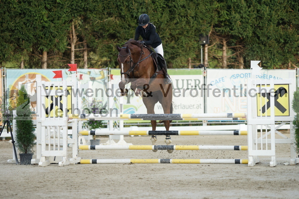 DSC01685 | equestrian-live-com